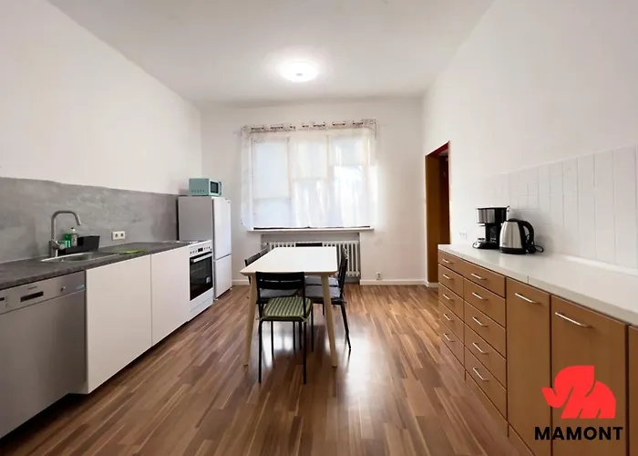 Große, Helle Monteurwohnung Apartment *